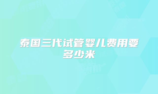 泰国三代试管婴儿费用要多少米