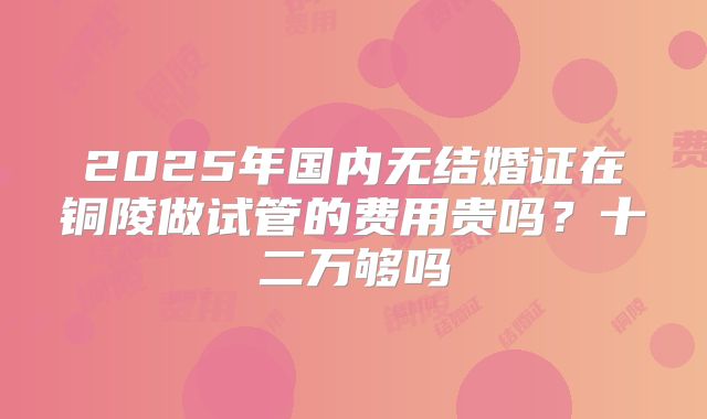 2025年国内无结婚证在铜陵做试管的费用贵吗？十二万够吗
