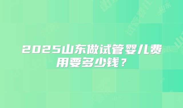 2025山东做试管婴儿费用要多少钱？