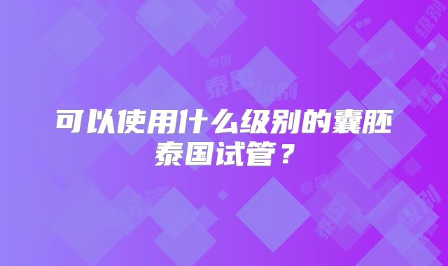 可以使用什么级别的囊胚泰国试管？
