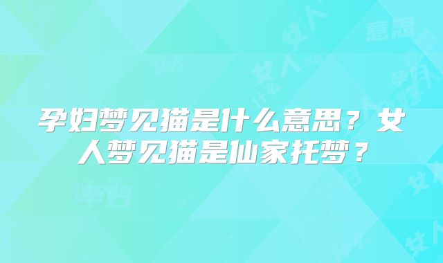 孕妇梦见猫是什么意思?女人梦见猫是仙家托梦?