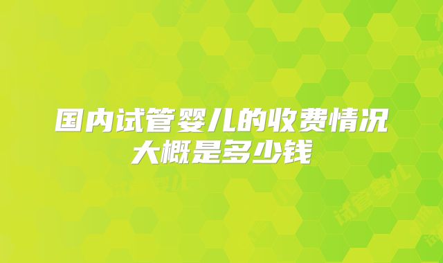 国内试管婴儿的收费情况大概是多少钱