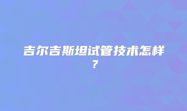 吉尔吉斯坦试管技术怎样？