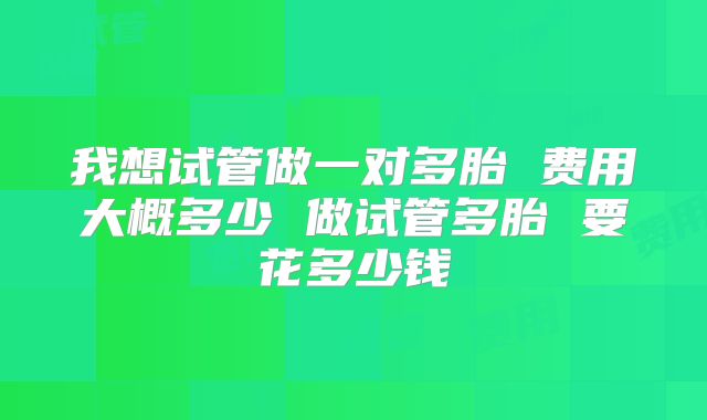 我想试管做一对多胎 费用大概多少 做试管多胎 要花多少钱