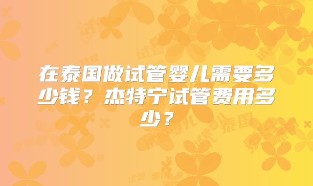 在泰国做试管婴儿需要多少钱？杰特宁试管费用多少？