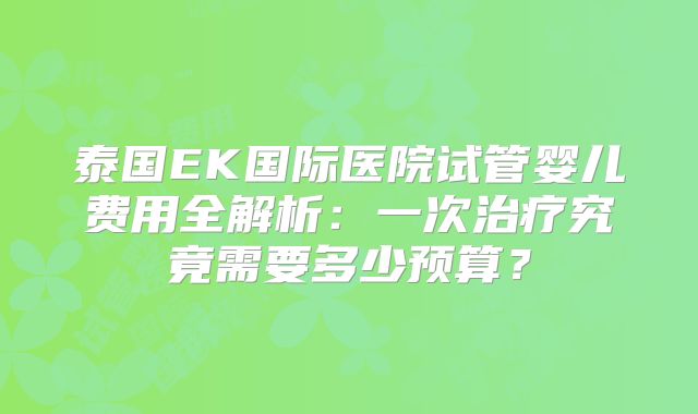 泰国EK国际医院试管婴儿费用全解析：一次治疗究竟需要多少预算？
