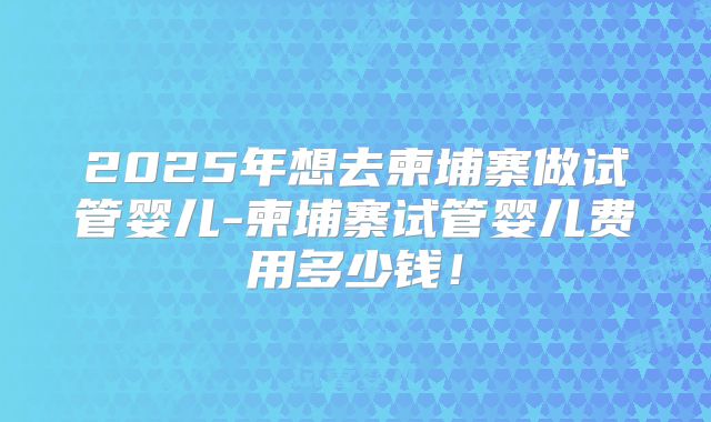 2025年想去柬埔寨做试管婴儿-柬埔寨试管婴儿费用多少钱!