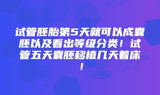 试管胚胎第5天就可以成囊胚以及看出等级分类!试管五天囊胚移植几天着床!