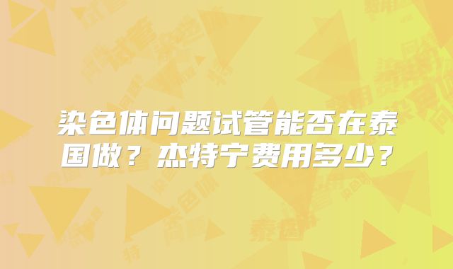 染色体问题试管能否在泰国做？杰特宁费用多少？