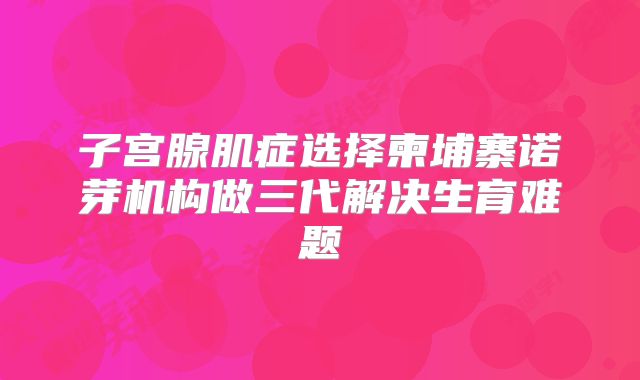 子宫腺肌症选择柬埔寨诺芽机构做三代解决生育难题