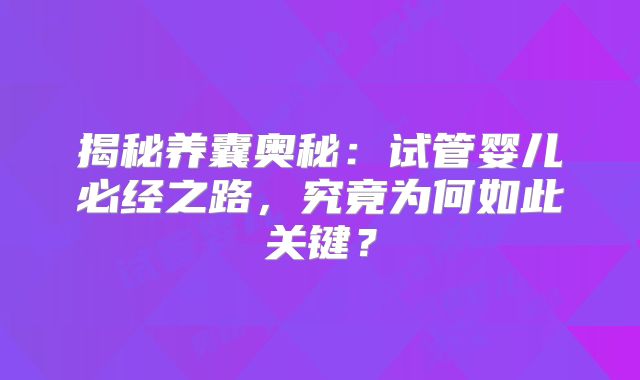 揭秘养囊奥秘：试管婴儿必经之路，究竟为何如此关键？