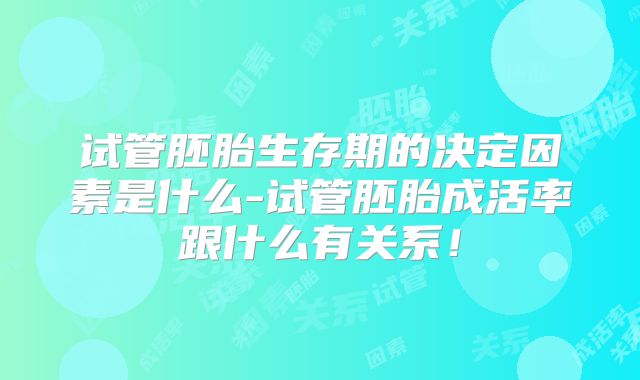 试管胚胎生存期的决定因素是什么-试管胚胎成活率跟什么有关系!