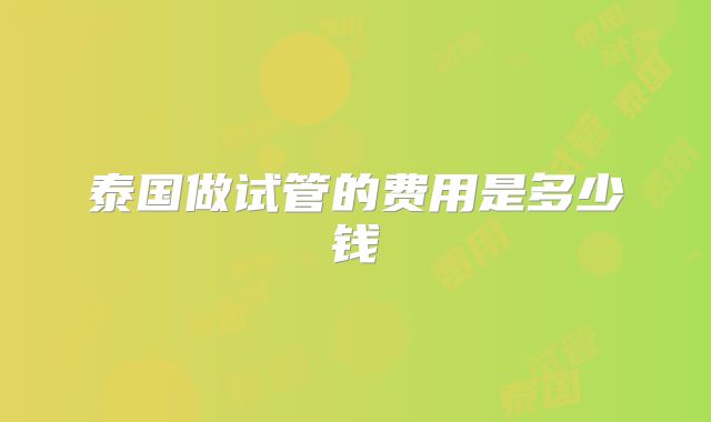 泰国做试管的费用是多少钱