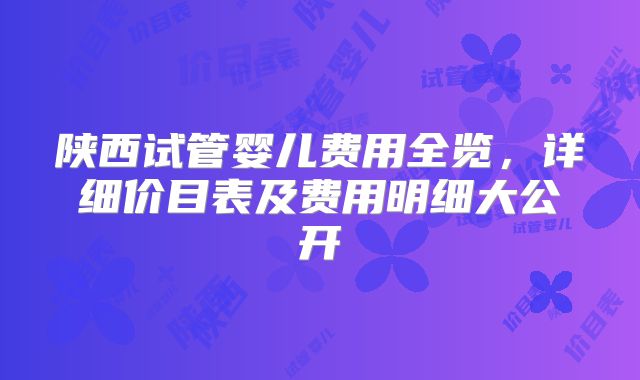 陕西试管婴儿费用全览，详细价目表及费用明细大公开