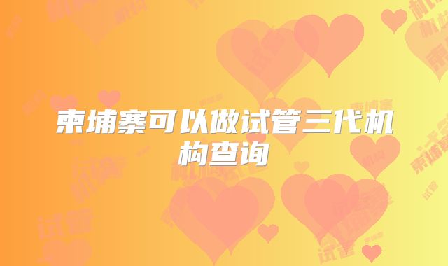 柬埔寨可以做试管三代机构查询