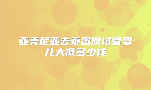 亚美尼亚去泰国做试管婴儿大概多少钱