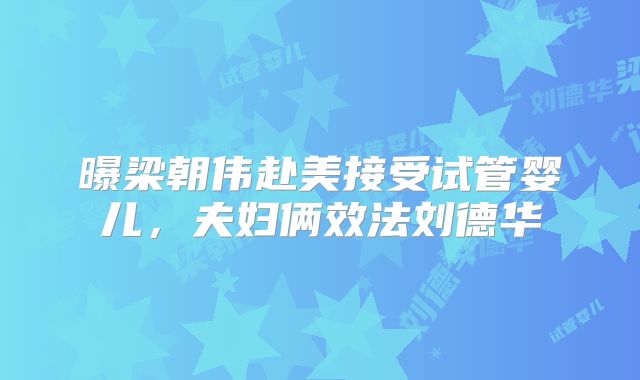 曝梁朝伟赴美接受试管婴儿，夫妇俩效法刘德华