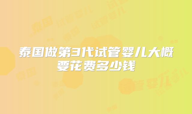 泰国做第3代试管婴儿大概要花费多少钱