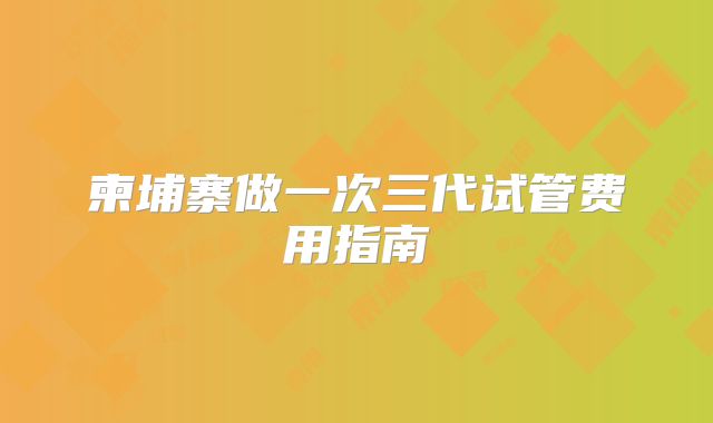 柬埔寨做一次三代试管费用指南