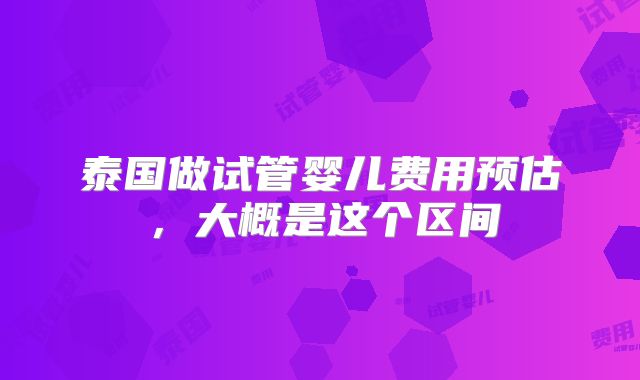 泰国做试管婴儿费用预估,大概是这个区间