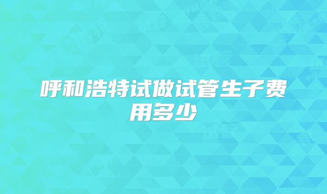 呼和浩特试做试管生子费用多少