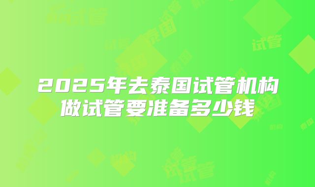 2025年去泰国试管机构做试管要准备多少钱