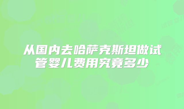 从国内去哈萨克斯坦做试管婴儿费用究竟多少
