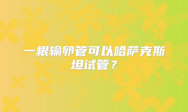 一根输卵管可以哈萨克斯坦试管？