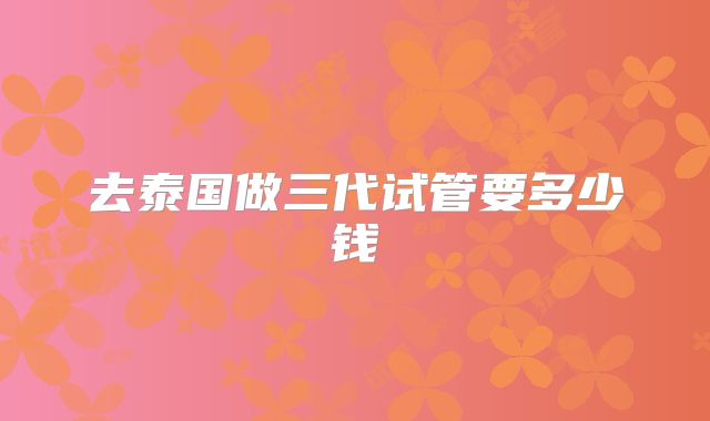 去泰国做三代试管要多少钱