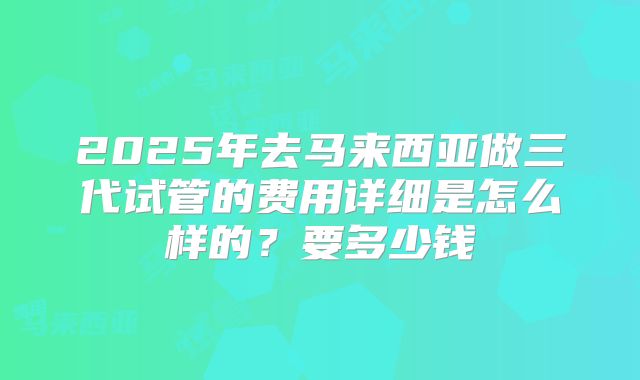 2025年去马来西亚做三代试管的费用详细是怎么样的?要多少钱