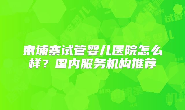 柬埔寨试管婴儿医院怎么样？国内服务机构推荐