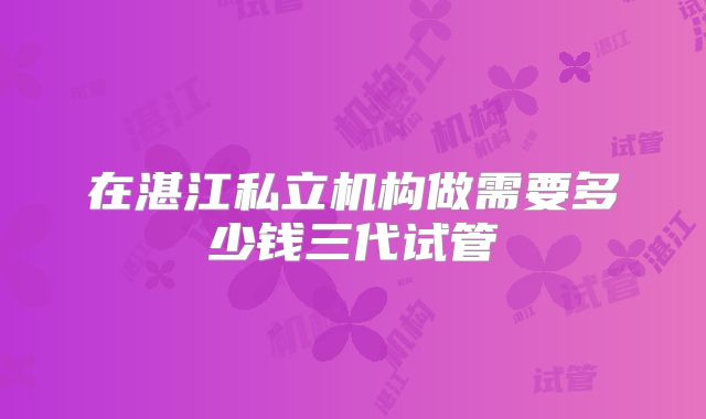在湛江私立机构做需要多少钱三代试管