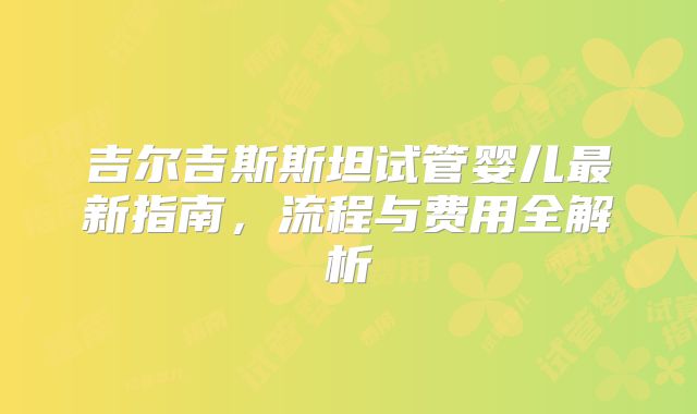 吉尔吉斯斯坦试管婴儿最新指南，流程与费用全解析