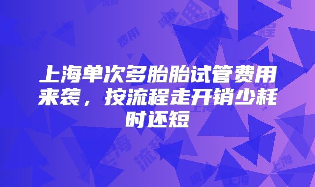 上海单次多胎胎试管费用来袭，按流程走开销少耗时还短
