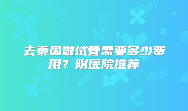 去泰国做试管需要多少费用?附医院推荐