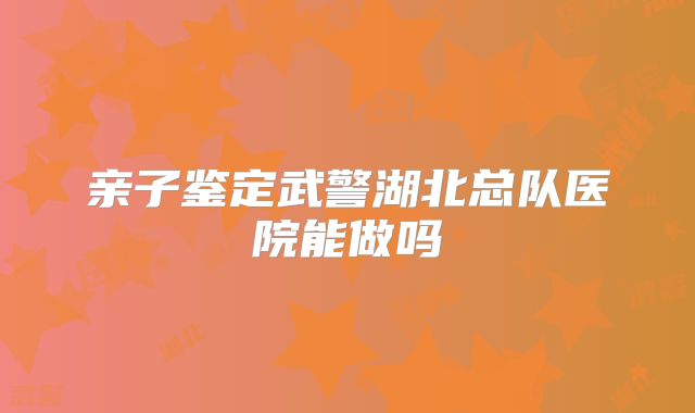 亲子鉴定武警湖北总队医院能做吗