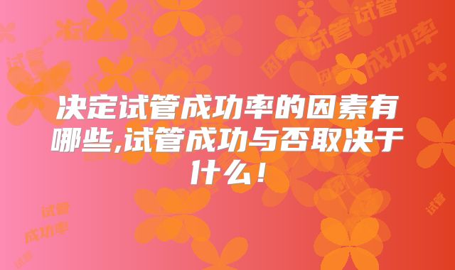 决定试管成功率的因素有哪些,试管成功与否取决于什么！