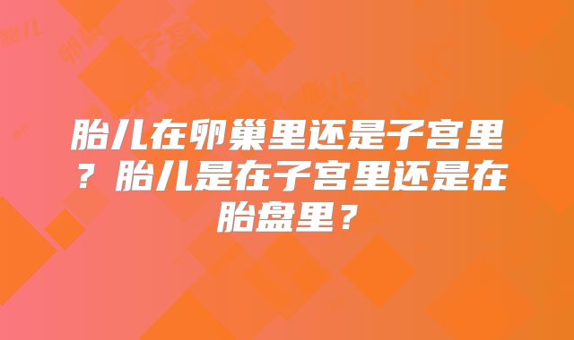 胎儿在卵巢里还是子宫里?胎儿是在子宫里还是在胎盘里?