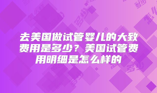 去美国做试管婴儿的大致费用是多少？美国试管费用明细是怎么样的