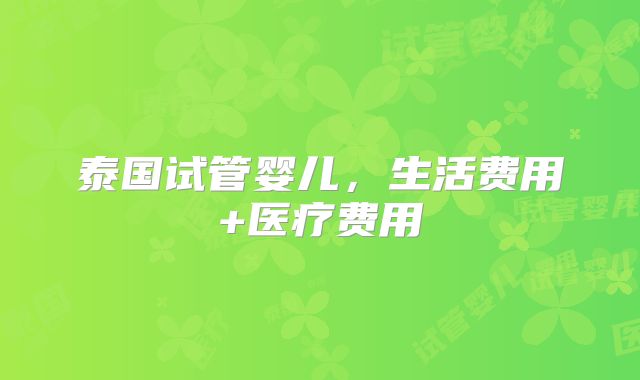 泰国试管婴儿，生活费用+医疗费用