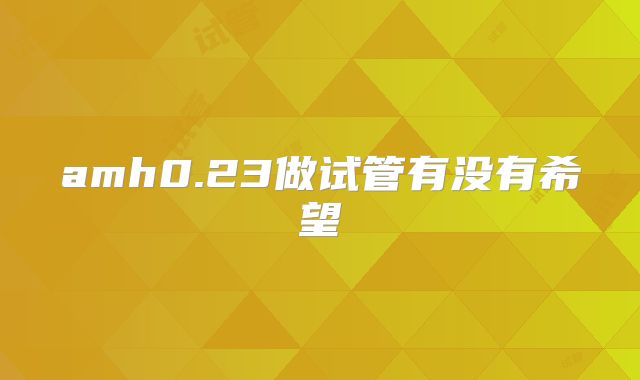 amh0.23做试管有没有希望