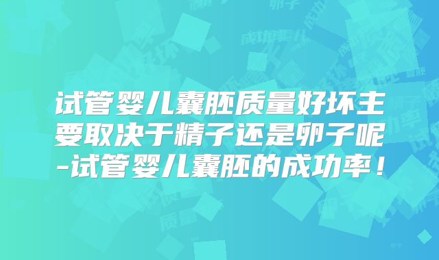 试管婴儿囊胚质量好坏主要取决于精子还是卵子呢-试管婴儿囊胚的成功率！