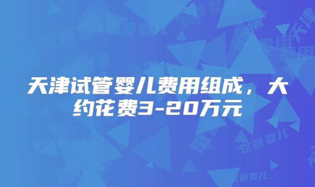 天津试管婴儿费用组成,大约花费3-20万元