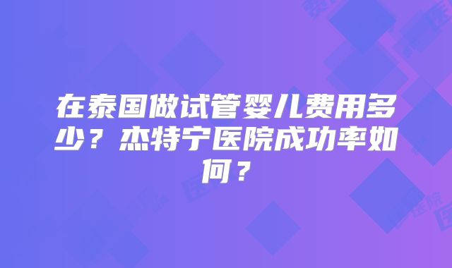 在泰国做试管婴儿费用多少？杰特宁医院成功率如何？