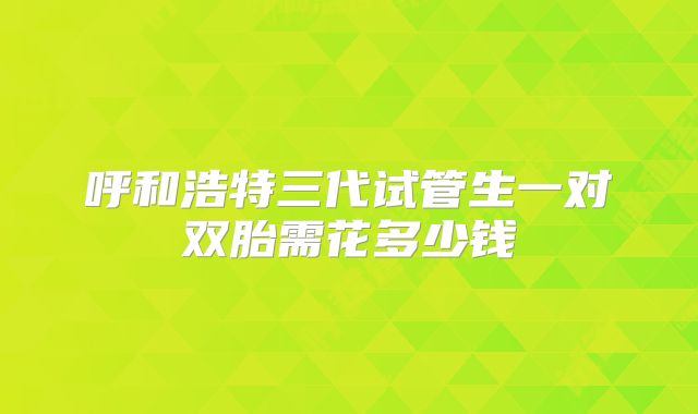 呼和浩特三代试管生一对双胎需花多少钱