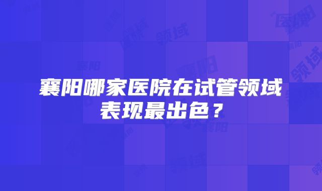 襄阳哪家医院在试管领域表现最出色？