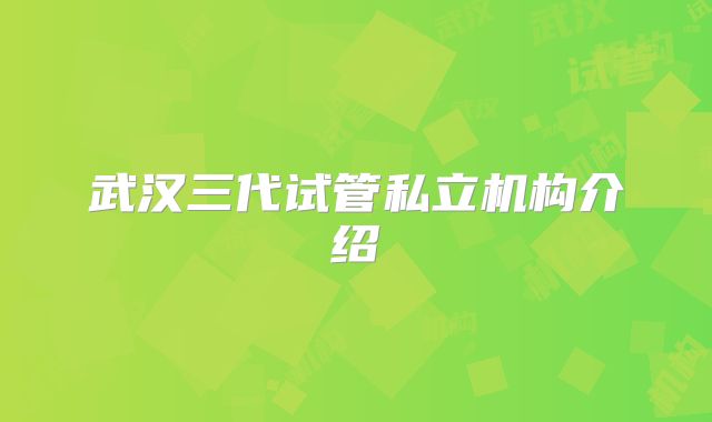 武汉三代试管私立机构介绍