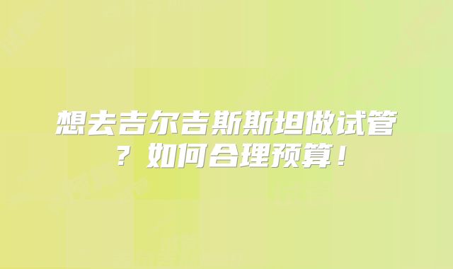 想去吉尔吉斯斯坦做试管？如何合理预算！