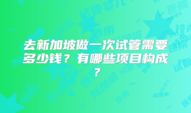 去新加坡做一次试管需要多少钱？有哪些项目构成？