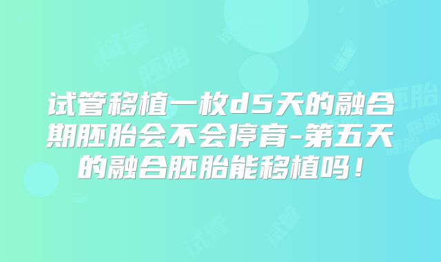 试管移植一枚d5天的融合期胚胎会不会停育-第五天的融合胚胎能移植吗!